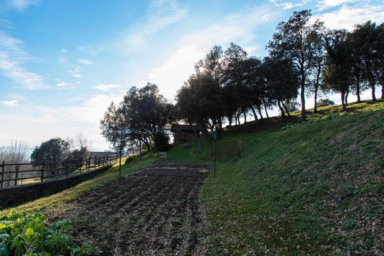 Mas Redortra Excepcional Masia Del Sxv Con Vistas Al Montseny San Pedro de Torelló Eksteriør bilde